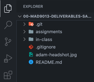 Images folder in VS Code